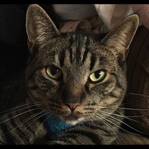 Meet your Posher, Nancy